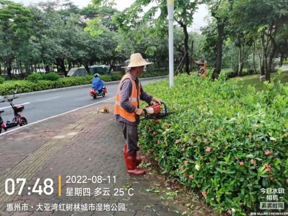 QQ瀏覽器截圖20220826091221.jpg