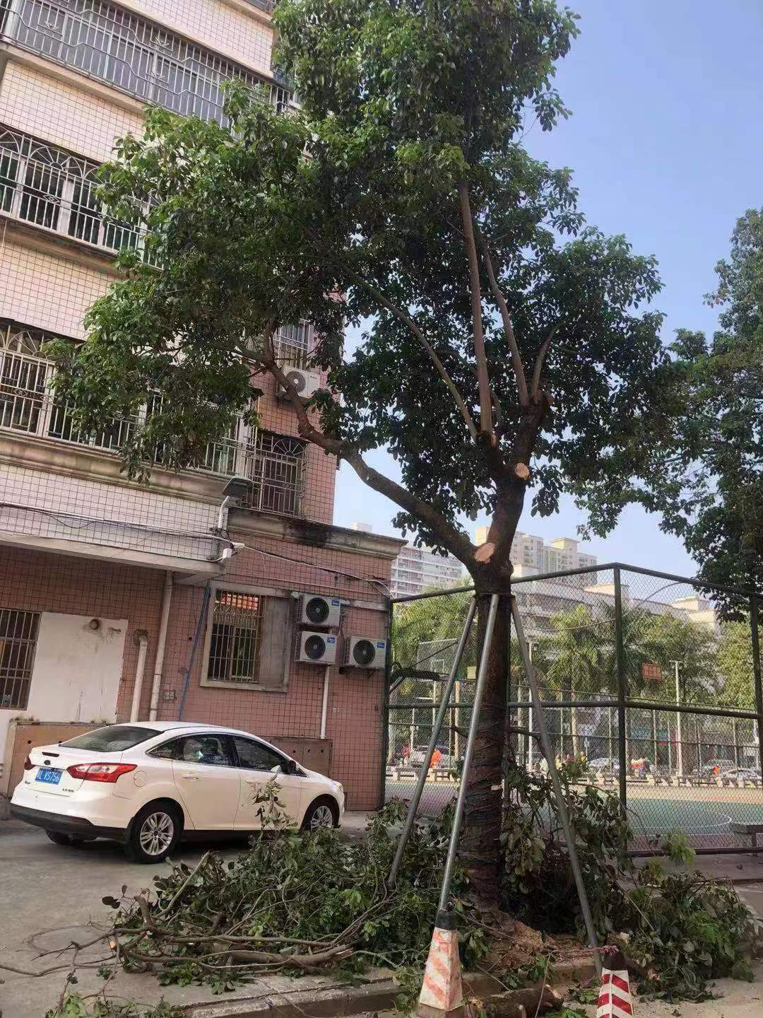 微信圖片_20230224101727.jpg