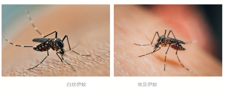 圖片2.png