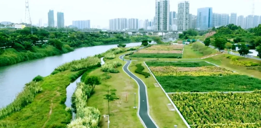 淡澳河濕地公園.jpg