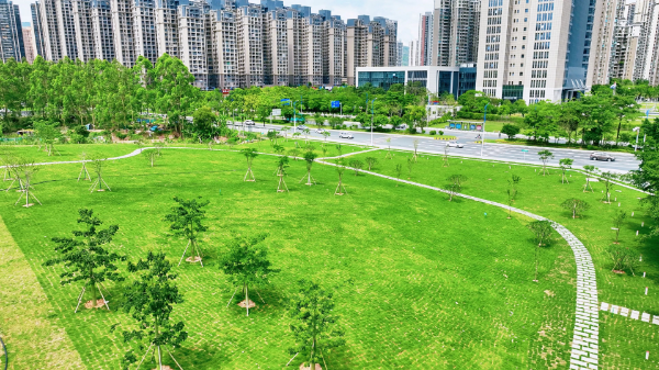 微信圖片_2025-07-08_085530_588.png